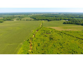 Property photo 16 - LAND AUCTION - 1,193+/- ACRES IN 14 TRACTS IN PIKE & GIBSON COUNTY, INDIANA
